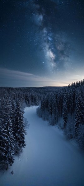 file_101855061