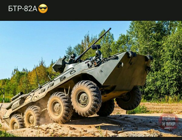 file_79511165