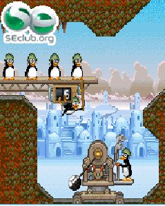 crazypenguinca