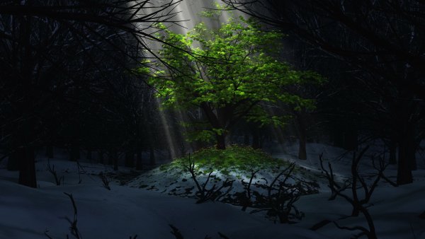 Wallpapers 7341