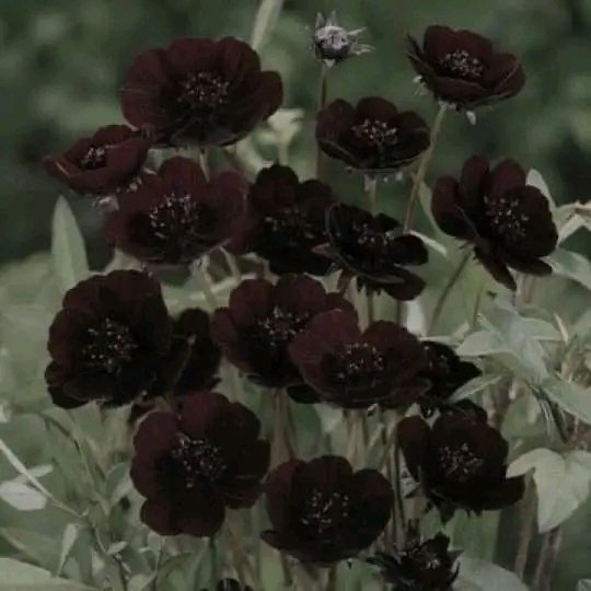 file_96918060