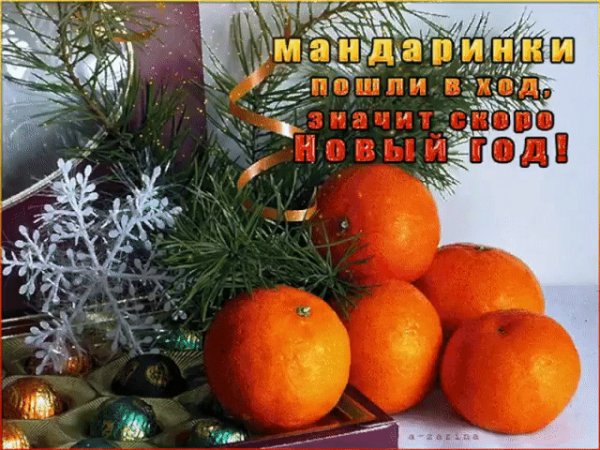 IMG 20211205 084837