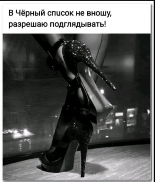 file_103505822
