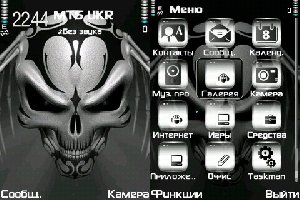 The skull