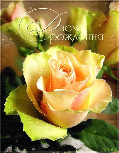 aa9a8577a13731bd2c51d0034f3cd298