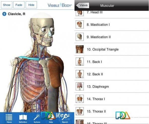 Visible-Body-3D-Anatomy-Atlas-v1.1.