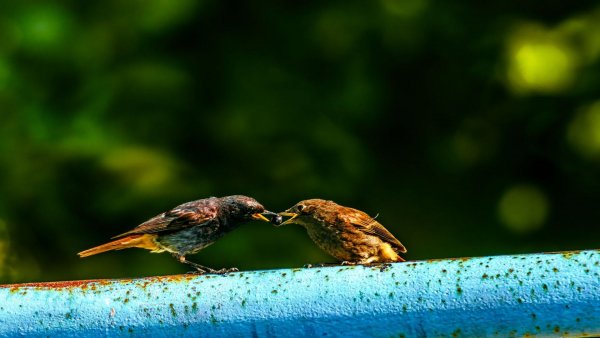 file_84012474