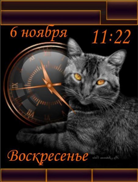 Zheltoglazyj (Love)