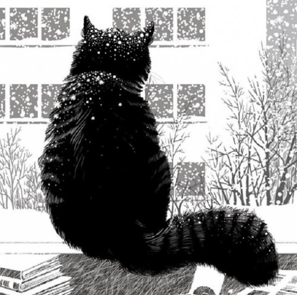 Кот зимой