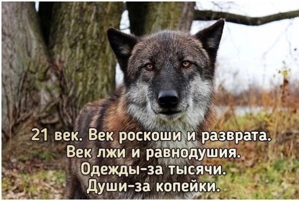 file_100092310