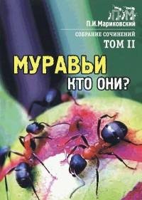 Муравьи кто они