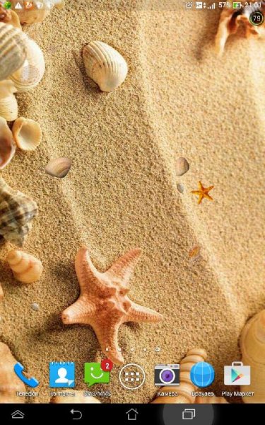 Sea Shell Live Wallpaper v2.0 74