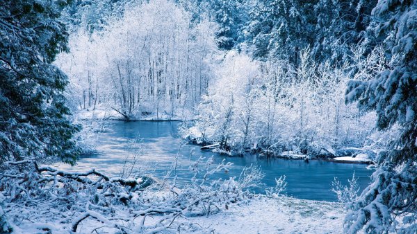 winter river snow trees landscape 45992