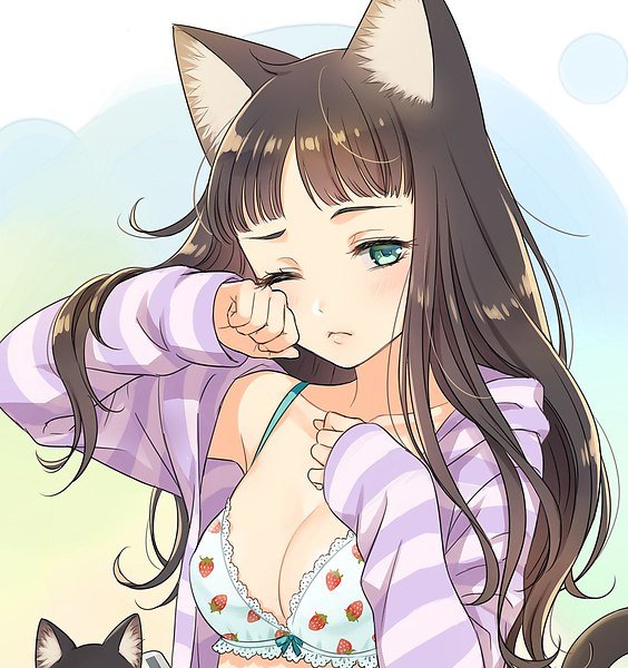 file_91760003
