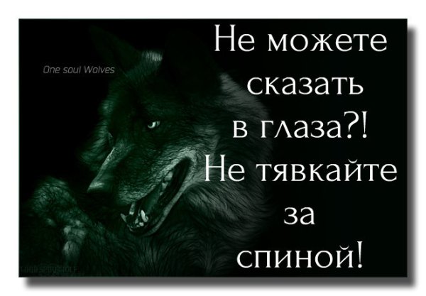 image (1)