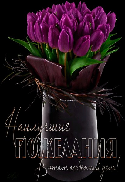 С Днём Рождения!