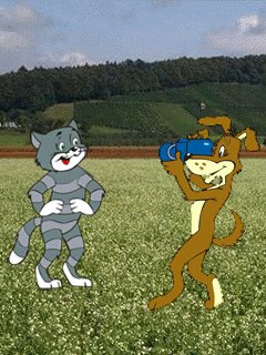 file_57462279