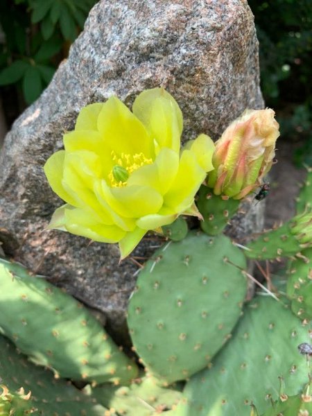 Фото 456