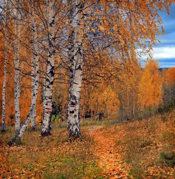 Осень