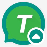 T2S