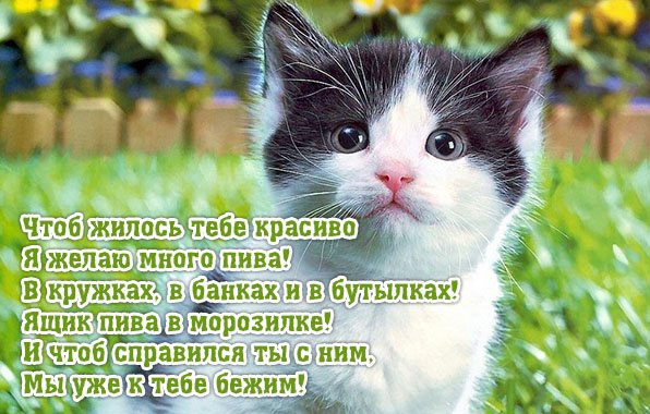 IMG 20181217 964317