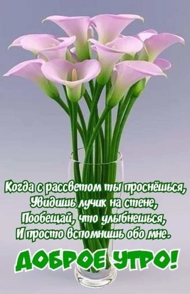 file_93023663