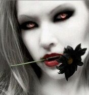 file_2039235