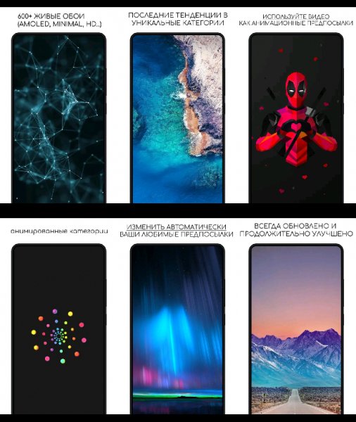 Live Wallpapers HD Backgrounds 4k Walloop 9.4 Prime