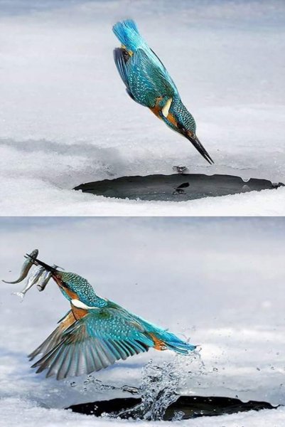 file_92191881