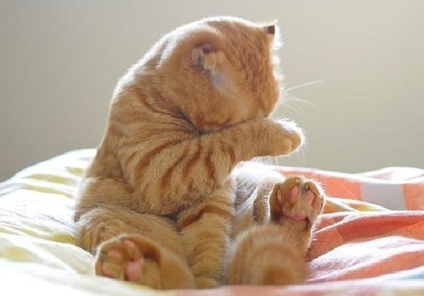 Foto16925