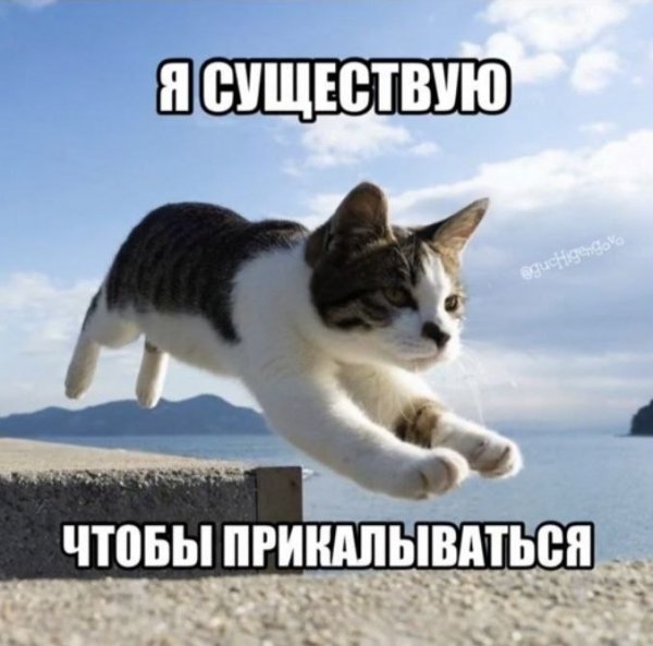 file_102879292
