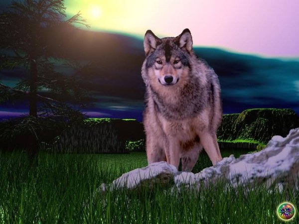wn0f9j368r3