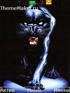BLACK CAT