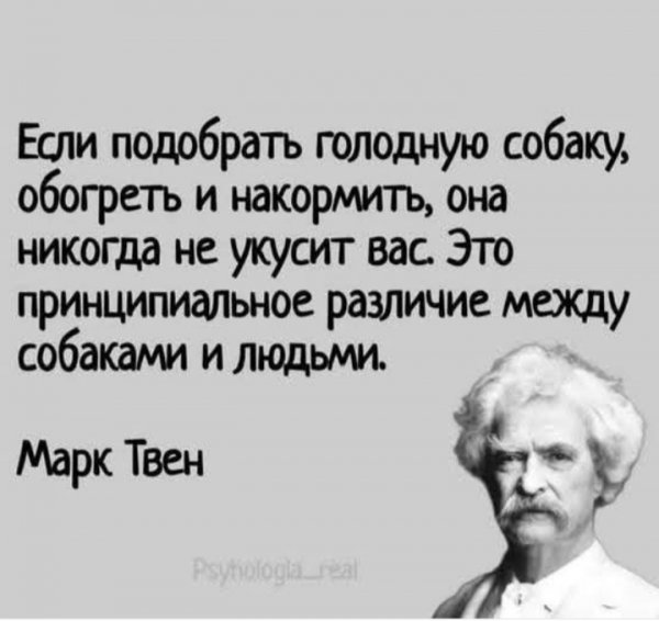 IMG 20260224 063330