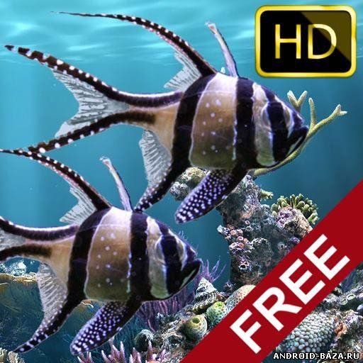 The real aquarium - HD