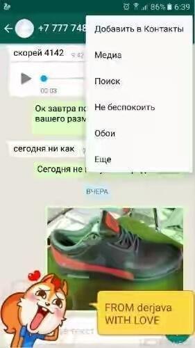 WhatsApp Messenger v2.18.12