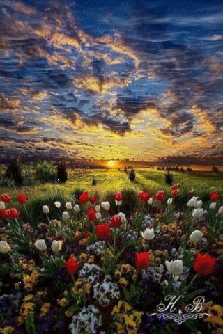 file_52385461