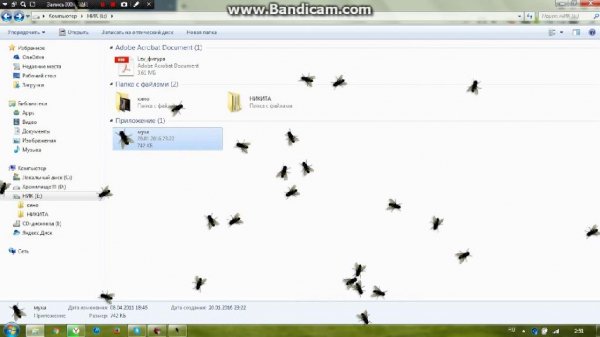 Flyondesktop