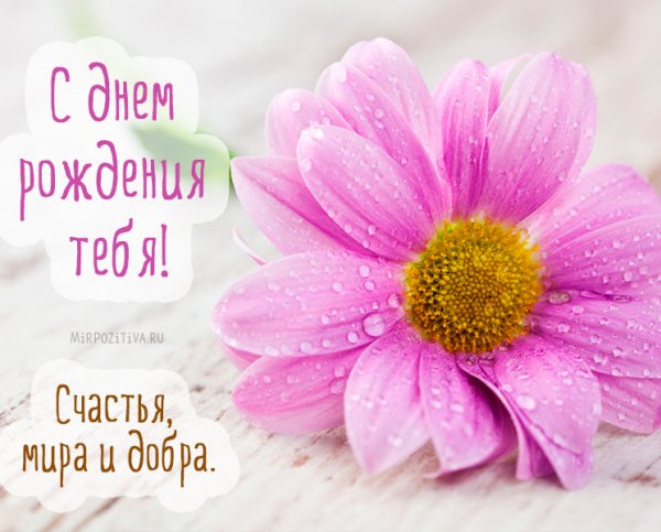file_81288129