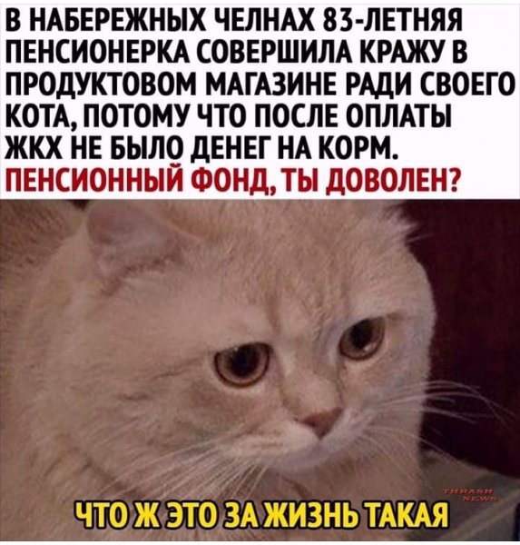 Пенсионерка