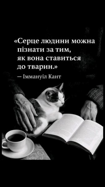 FB IMG 1752532742169