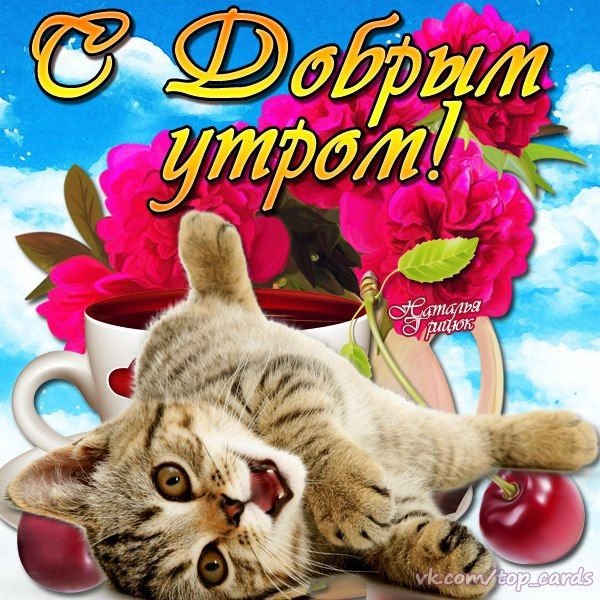 S dobrym utrom