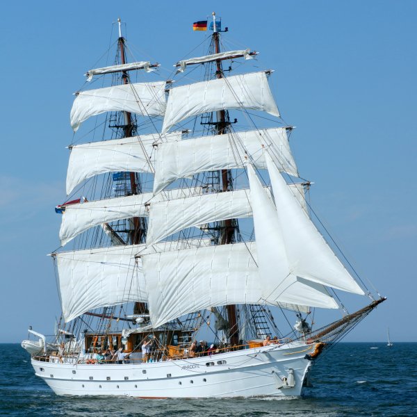 IMG Aphrodite viter59