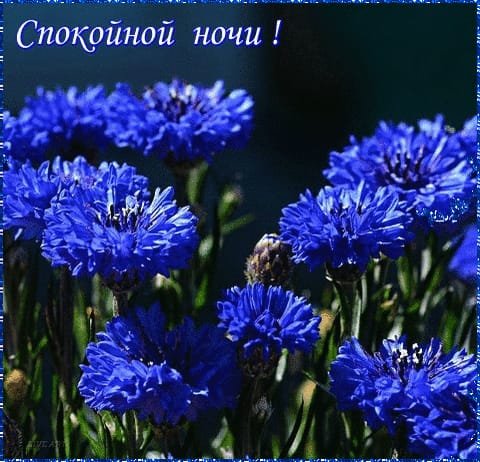 IMG-20231126-WA0017