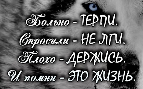 Жизнь