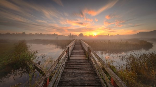 file_94684536