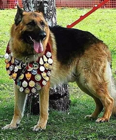 FB IMG 15884981998894552