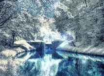 Nfswinterlake1 [1]