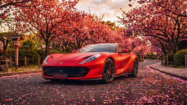 file_102948377