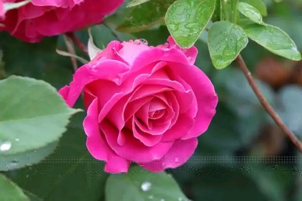 file_95693610
